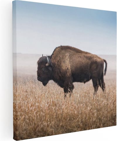 Artaza Canvas Schilderij Buffel - 30x30 cm - Klein - Wanddecoratie Wilde Dieren - Muurdecoratie Natuur - Kamer Accessoires Landschap