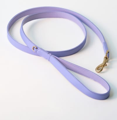 Wiggled Hondenriem - Vegan leer - Maat M/L (lengte 1.50 meter, breedte 2 cm) - Trendy en hip - Bijpassende halsband mogelijk - Middel en grote hond - Lila
