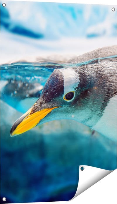 Gards Tuinposter Pingu�n Zwemt onder Water - 60x90 cm - Tuindoek - Tuindecoratie - Wanddecoratie buiten - Tuinschilderij