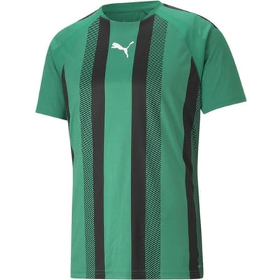 Puma Heren Team Liga Gestreept T-Shirt (Groen/Zwart/Wit)