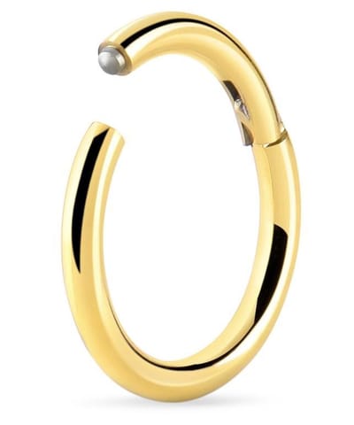 Goudkleurige Titanium Segment Ring 8 mm (1,2 mm dik) met Scharnier – RH-Jewelry [High Quality Piercing]