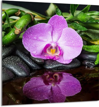 TMK ArtDeko - Orchidee Serie - Glazen Panel - 60x65 cm - Hittebestendig