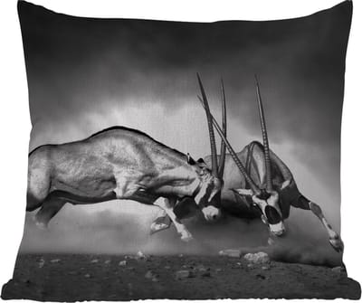 Tuinkussen - Antilope - Zwart wit - Portret - Wilde dieren - Dieren - 40x40 cm - Weerbestendig