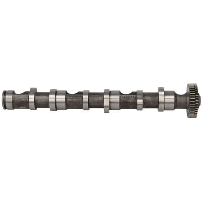 Nokkenas  FRECCIA CM05-2187