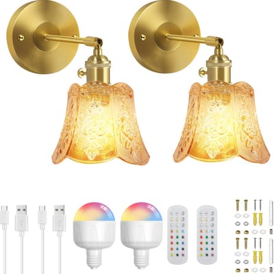 Rosnek Vintage Wandlampen 2 stuks incl. lampjes - Batterij OF Bedrading - met Afstandsbediening - Dimbare RGB LED Binnenverlichting voor Slaapkamer/Woonkamer