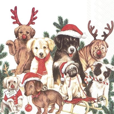 IHR Lunch servetten - Dog - Mas