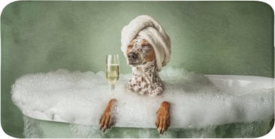 WC mat 120x60 cm - Antislip - Hond - Bad - Champagne - Handdoek - Toiletmat - Vloermat - Douchemat - Toilet tapijt - Toiletmatten