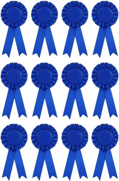 Blanco Rozet Lint Prijzen 1e Plaats Winnaars Banners voor Evenementen School en Feest 12 Stuks