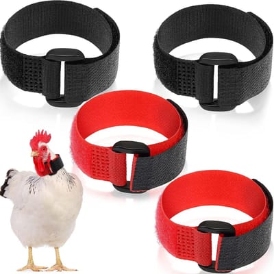 4 Stuks Verstelbare Hanenhalsbanden Tegen Kraaien, Nylon Anti-Haakhalsband Voor Kippen, Geluidsoverlast Oplossing in Zwart en Rood