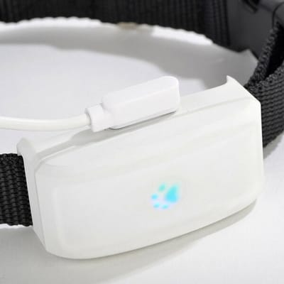 Lichte GPS Tracker met Halsband voor Hond en Kat - Realtime Lokalisatie Zonder Abonnement