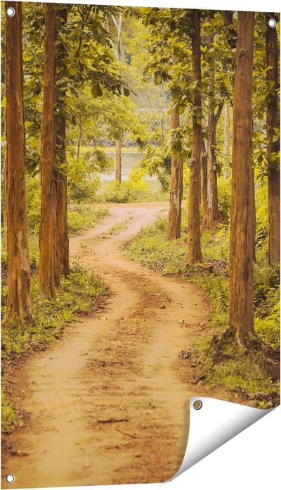 Gards Tuinposter Pad in het Bos met Bomen - 60x90 cm - Tuindoek - Tuindecoratie - Wanddecoratie buiten - Tuinschilderij