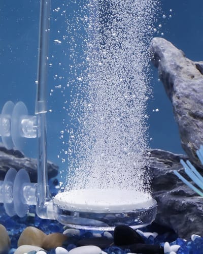 Luchtsteen Schijf voor Aquarium - Micro Bubbels Diffuser met Zuignap en Ventiel Accessoires voor Nano Luchtpompen en Kleine Aquaria