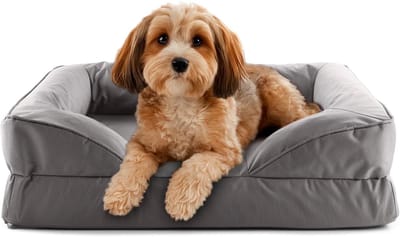 Lumaland orthopedisch hondenbed voor binnen en buiten | ergonomische hondensofa 70x60 cm – ideaal voor kleine honden | antislipbodem | vulling en hoes wasbaar | waterdichte hondenmand