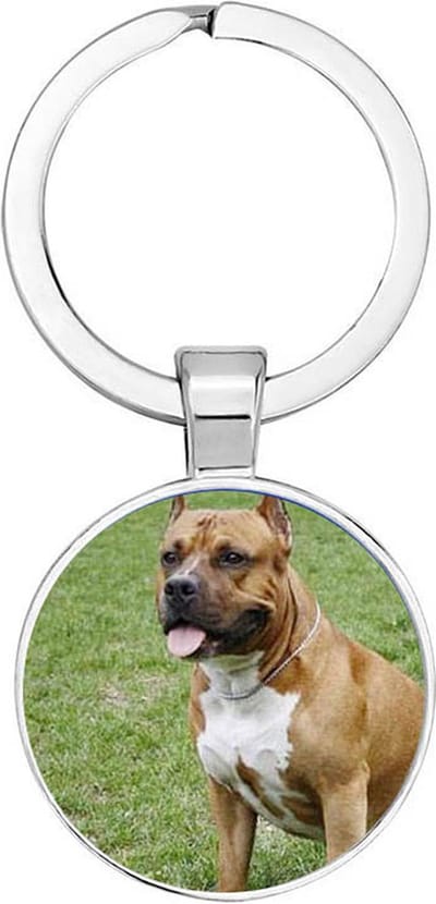 Akyol - Amerikaanse bully Sleutelhanger - honden - honden liefhebbers - dieren liefhebber - houden van - verjaardagscadeau - gift - geschenk - kado - 2,5 x 2,5 CM