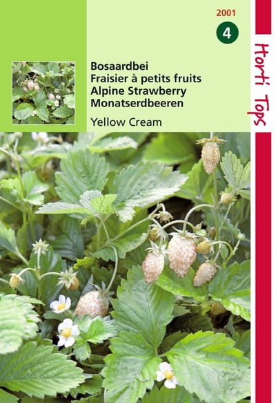 2 stuks - Hortitops - Aardbeien Yellow Cream