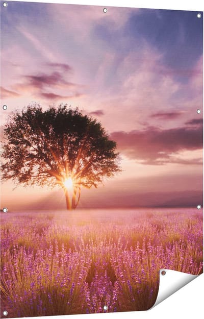 Gards Tuinposter Bloemenveld met Lavendel bij Zonsondergang - 90x120 cm - Tuindoek - Tuindecoratie - Wanddecoratie buiten - Tuinschilderij