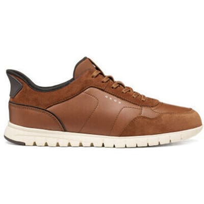 Sneakers Geox u flextridezero plus u66nea