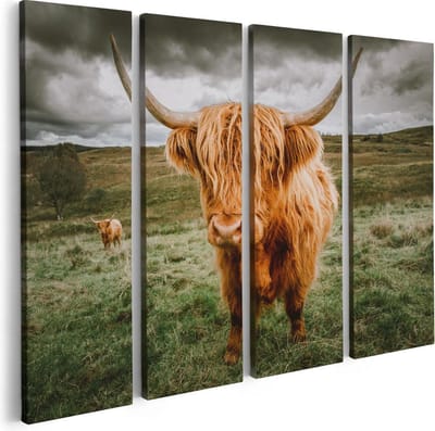 Artaza Canvas Schilderij Vierluik Schotse Hooglanders In De Wei - Kleur - 80x60 - Foto Op Canvas - Canvas Print