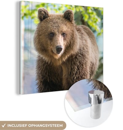 MuchoWow® Glasschilderij 50x50 cm - Schilderij acrylglas - Beer - Bruin - Bos - Foto op glas - Schilderijen