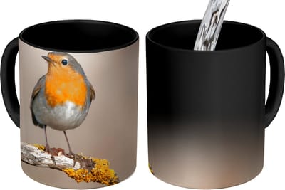 Magische Mok - Foto op Warmte Mokken - Koffiemok - Roodborstje - Vogel - Tak - Dieren - Magic Mok - Beker - 350 ML - Theemok