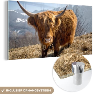MuchoWow® Glasschilderij 40x20 cm - Schilderij acrylglas - Schotse Hooglander - Berg - Sneeuw - Foto op glas - Schilderijen