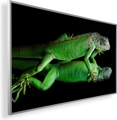 Infrarood Verwarmingspaneel 600W met fotomotief en Smart Thermostaat (5 jaar Garantie) - Salamanda 87