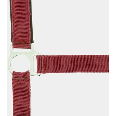 Halter Norton Doublé néoprène