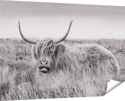 Gards Tuinposter Schotse Hooglander Koe - Zwart Wit - 150x100 cm - Tuindoek - Tuindecoratie - Wanddecoratie buiten - Tuinschilderij