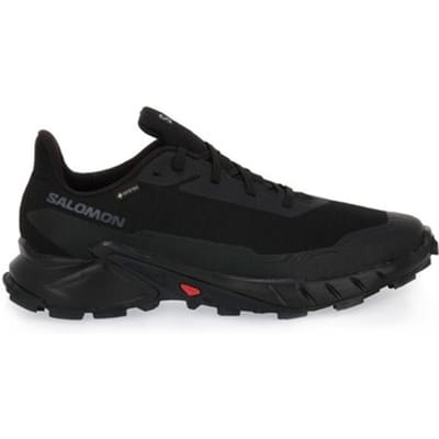 Hardloopschoenen Salomon Alphacross 5 Gtx