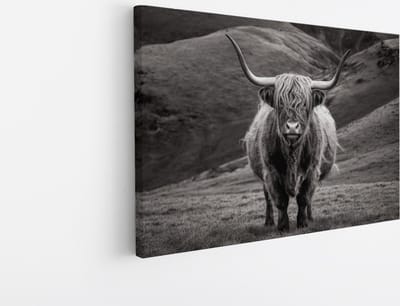 Saammp Canvas Schilderij - Schotse Hooglander Koe tussen de rode planten - Landschap - Dieren - Natuur - 45x30 - Foto op canvas - Wanddecoratie - muurdecoratie Woonkamer - Slaapkamer decoratie - Canvas Print