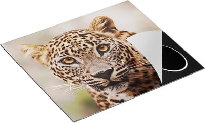Chefcare Inductie Beschermer Luipaard van Dichtbij met Grote Ogen - 60x50 cm - Afdekplaat Inductie - Kookplaat Beschermer - Inductie Mat