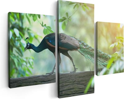 Artaza Canvas Schilderij Drieluik Pauw Loopt Op Een Tak In De Natuur - 90x60 - Foto Op Canvas - Canvas Print