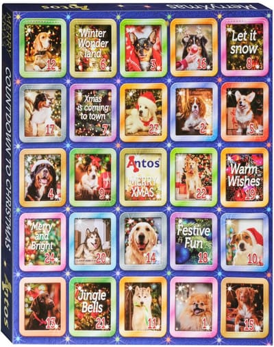 Honden Kerst Cadeau Adventskalender Snacks Kerstmis Honden Advent Hokjes Kalender Hond Verrassing