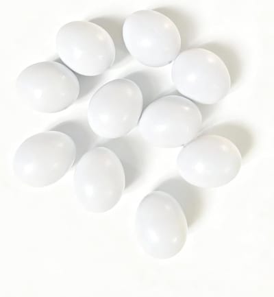 10 stuks kleine plastic papegaaieneieren - nepvogeleieren voor training, nestkast en het stoppen van het leggen van eieren voor dwergpapegaaien, valkparkieten en parkieten