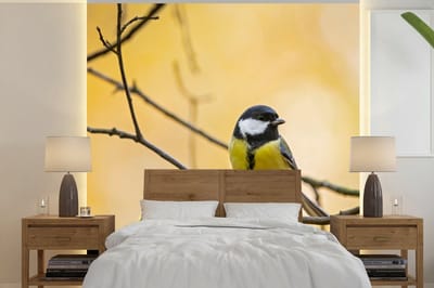 Behang - Fotobehang Koolmees - Tak - Vogel - Dieren - Breedte 300 cm x hoogte 300 cm
