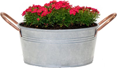 Mega Collections Teil/plantenpot/bloempot Jean - zink - zilver - D22 X H10 cm