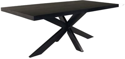 Eettafel langwerpig mangohout 200cm zwart John langwerpige tafel duurzaam mango eetkamertafel