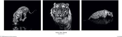 Marina Cano Into The Dark Poster 30.5x91.5cm