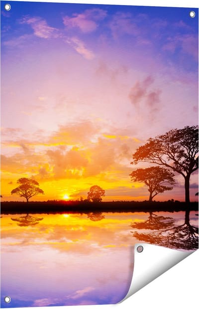 Gards Tuinposter Silhouet van Bomen tijdens Zonsondergang - 60x80 cm - Tuindoek - Tuindecoratie - Wanddecoratie buiten - Tuinschilderij