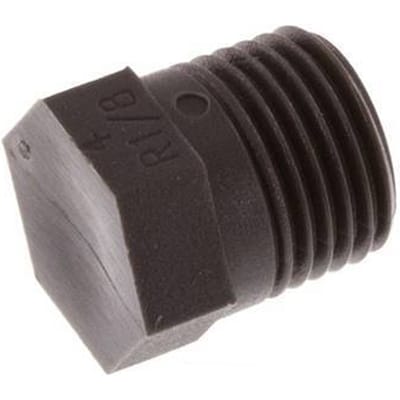 Plug R1/8'' PA 6 met Buitenzeskant 8bar [20 Stuks]