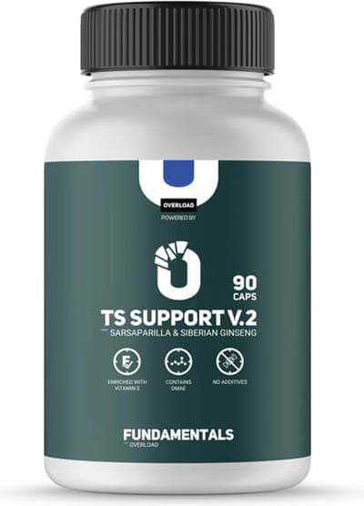 Fundamentals Ginseng & Sarsaparilla - TS Support V2 - Chroom - Vitamine B - DMAE - 90 Caps - Voedingssupplement