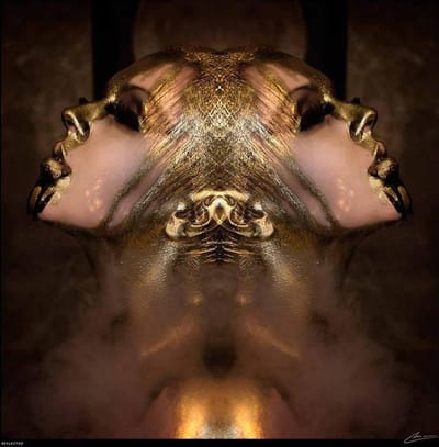 Kristal Helder Galerie kwaliteit Plexiglas 5mm. - Blind Aluminium Ophangframe - Fotokunst - Luxe Wanddecoratie - inclusief verzending