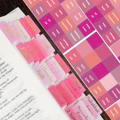 Dailygoods- Bijbeltabs 90 Stuks - Roze Bijbeltabs - Gouden Folie - Bijbelregisters - Oude/Nieuwe Testament - 24 Blanco Indextabs - Bijbelstickers