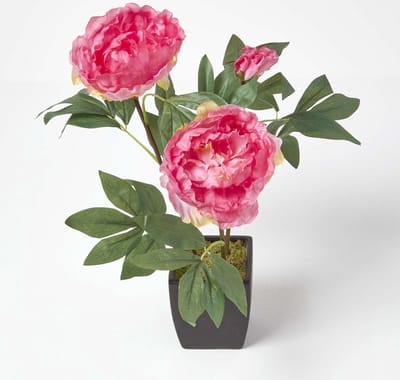 Homescapes Kunstpioenbloemen in zwarte pot, roze