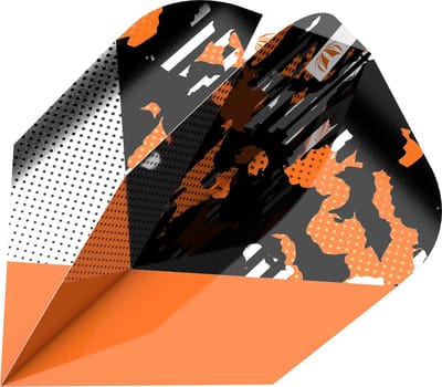 Target Raymond van Barneveld Black & Orange Pro Ultra Ten-X - Dart Flights