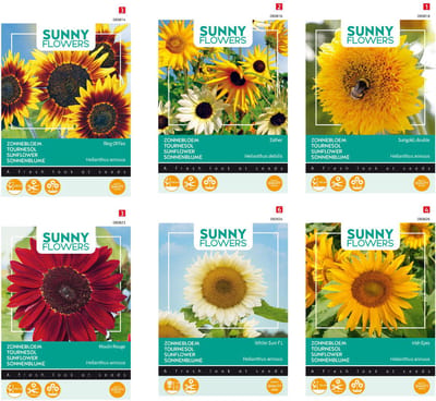 Zonnebloem zaden set van 6 verschillende soorten | Zonnebloem Ring of Fire | Zonnebloem Esther | Zonnebloem Sungold | Zonnebloem Moulin | Zonnelboem White Sun | Zonnebloem Irish Eyes | Set je hele tuin vol met zonnebloemen in diverse kleuren
