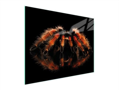 TMK ArtDeko - Snijplank - 52x40cm - Getemperd Glas - Antislip