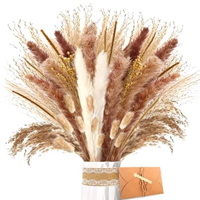 PromoHome Gedroogd Pampasgras Boeket - Natuurlijke Roombruine Droogbloemen Set met Lagurus, Riet en Vlas voor Bloemstukken, 40 cm