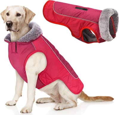 Warm en Waterdicht Hondenjasje voor Kleine en Grote Honden, Reflecterend en Winddicht Snowsuit in Rood en Zwart