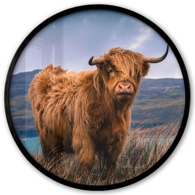 Poster in lijst Rond - Fotolijst 40x40 cm - Posters - Schotse Hooglander - Berg - Water - Natuur - Koe - Ronde posterlijst zwart - Decoratie - Wanddecoratie woonkamer - Muurdecoratie slaapkamer